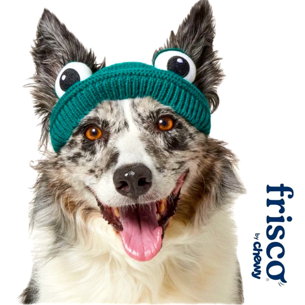 FRISCO By Chewy Knitted Frog Dog & Cat Halloween Hat Costume Size XL/XXL